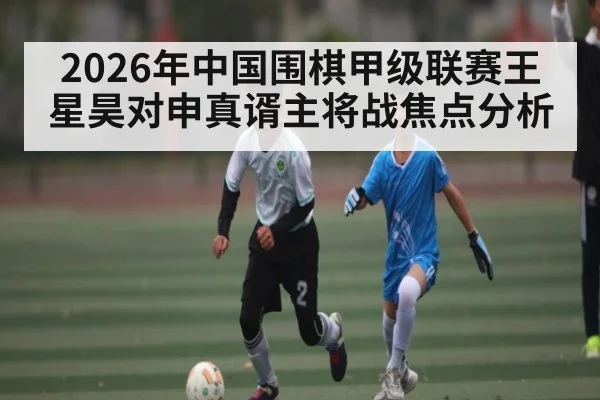 2026年中国围棋甲级联赛王星昊对申真谞主将战焦点分析