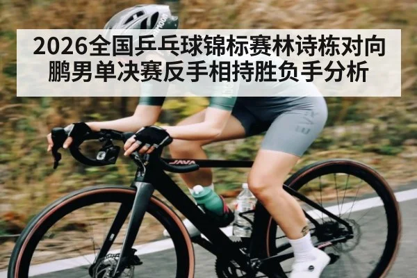 2026全国乒乓球锦标赛林诗栋对向鹏男单决赛反手相持胜负手分析