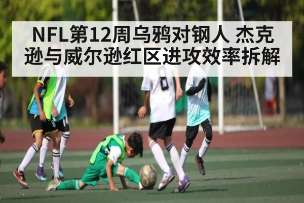 NFL第12周乌鸦对钢人 杰克逊与威尔逊红区进攻效率拆解 | kaiyun